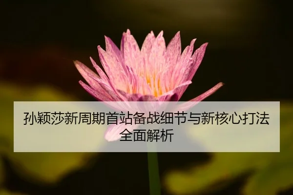 孙颖莎新周期首站备战细节与新核心打法全面解析